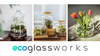 Glass terrarium + cork W-505 H:22cm D:17,5cm